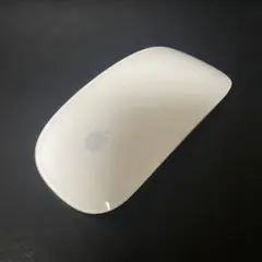 APPLE MAGICMOUSE MB829J/A