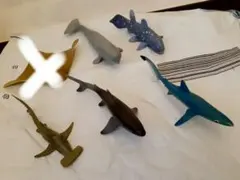 ※ プロフ必須！サメ フィギュア