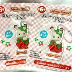 赤ちゃんアクリルキーチェーン いちご 2個セット