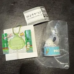 カンキャラ　サンリオキャラクターズ　ポチャッコ
