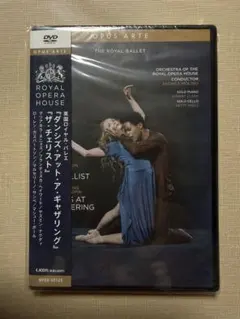 Total Eclipse 太陽と月に背いて DVD - メルカリ