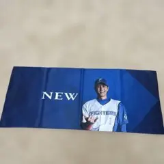 新庄剛志FIGHTERS 応援タオル NEW