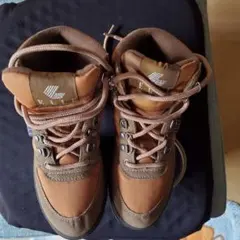 Item thumbnail for item 135d530e-eeb1-480c-a939-fc88c2b2d12f