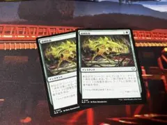過剰防衛　2枚