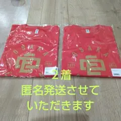 匿名発送 大阪エヴェッサ Tシャツ LとXL