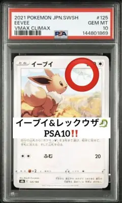 超希少‼️ イーブイ　レックウザ　PSA10 125 m*o様 超希少‼️ イーブイ レックウザ PSA10 125 - メルカリ