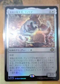 2026年最新】溌剌の牧羊犬、フィリアの人気アイテム - メルカリ