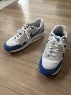 NIKE AIR MAX 1 '86 PRM DO9844-101 29.0