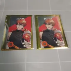 【ばら売り可】にじさんじ 8th メタルカード Bグループ 北見遊征