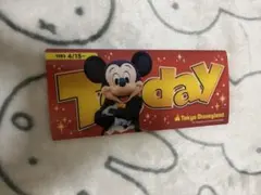 東京ディズニーリゾート Today ケース