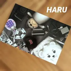2026年最新】NEXZハルの人気アイテム - メルカリ
