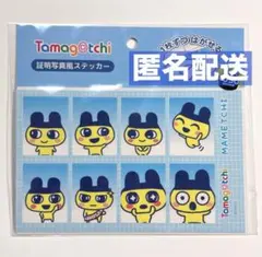 たまごっち まめっち 証明写真風 シール ステッカー［即購入可］