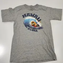 HAWAII　ハワイ　ディズニーストア　Tシャツ　ミッキー