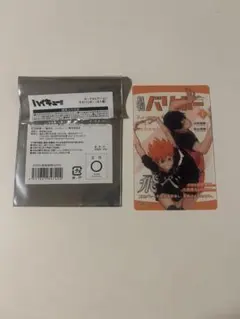 ハイキュー!! 月刊バリボー　カード 日向翔陽 影山飛雄（烏野高校）