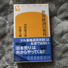 世界経済の死角 河野龍太郎, 唐鎌大輔
