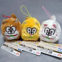 まついぬ マスコット 3個セット 松犬