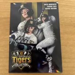 Item thumbnail for item 46cc7716-78a3-4d4d-9db9-858d6f377a57