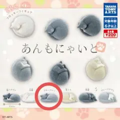 須田アンナグッズセット 2025年最新】須田アンナの人気アイテム - メルカリ