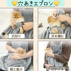 Item thumbnail for item 71a62e69-9108-4bef-950b-39a928203ab6