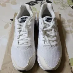 Item thumbnail for item 05483ae1-c7bd-4f1f-9b50-33e04d1286f5