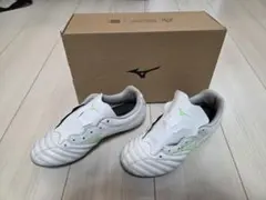 Item thumbnail for item 2e6e8062-6915-441c-bfc7-10c0a9e6abb5