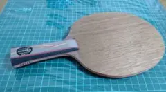 Item thumbnail for item 4ad9203e-b39b-4802-a359-7938bc0775c7