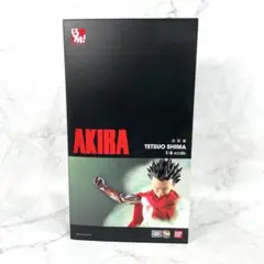 【未開封】AKIRA 鉄雄 フィギュア 希少 レア 未開封】AKIRA 鉄雄 フィギュア 希少 レア - メルカリ