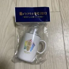 嵐　ワクワク学校2013 歯ブラシセット