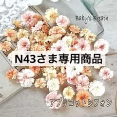 N43様 リクエスト 3点 まとめ商品