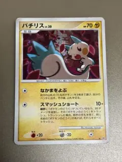 パチリス LV.30 ポケモンカード DP4 - メルカリ