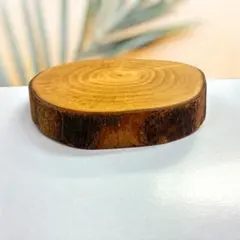 【バクチノキ】輪切りのサムネイル