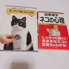 Item thumbnail for item d797bcd6-52c0-4b38-a459-faf6317c4efb