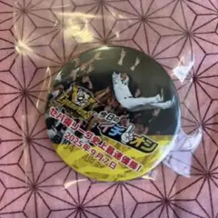 阪神タイガース 2025 優勝記念 イチオシ缶バッジ