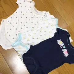 3枚セット☆80