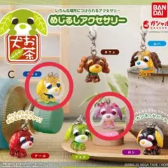 お茶犬 めじるしアクセサリー　Ｃ　チャイ　ハナ　計2点　ガチャ