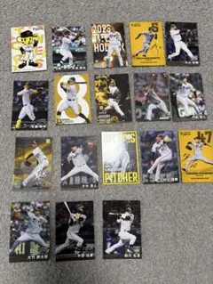 2024.2025カルビープロ野球チップスカード　阪神タイガース