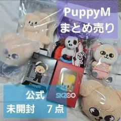 Stray Kids スンミン パピームグッズまとめ - メルカリ