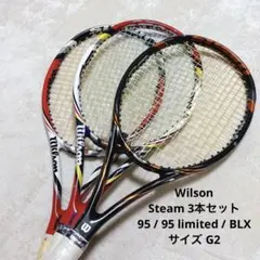 2025年最新】Wilson BLXの人気アイテム - メルカリ