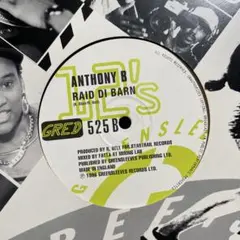 Anthony B & Garnett Silk レコード GRED 525