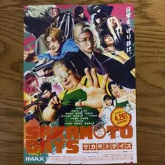 15枚　映画　SAKAMOTO DAYS フライヤー　サカモトデイズ　目黒蓮