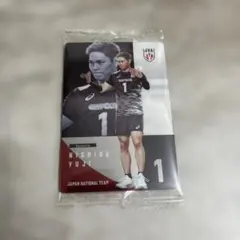 西田有志 バレーボール 日本代表 ツインウエハース2026
