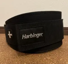 Item thumbnail for item ee173aa9-c608-4fc0-b39e-b73acddb492c