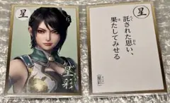 真・三國無双8 英傑カルタ 郭嘉 - メルカリ