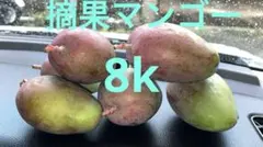 宮崎県産 摘花 グリーン マンゴー 9kg - メルカリ