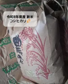 令和8年度産 新米 コシヒカリ 玄米 10kg 佐賀県白石町産 令和8年度産 新米 コシヒカリ 玄米 10kg 佐賀県白石町産 - メルカリ