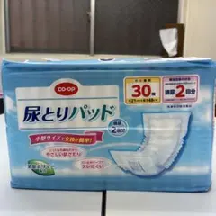 Item thumbnail for item 93e1ff54-190f-4b31-b614-aadffbd9b900