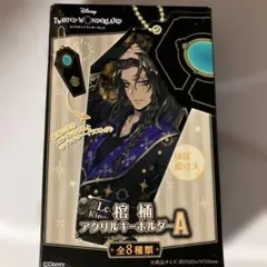 未開封新品 ツイステ 棺桶アクリルキーホルダー ボールチェーン付き スライド式A