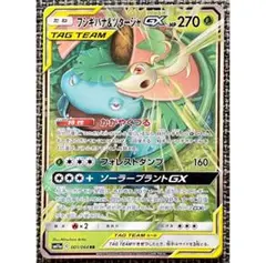 2025年最新】フシギバナ&ツタージャgx rrの人気アイテム - メルカリ