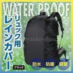 Item thumbnail for item 4aa65342-960f-45db-a809-6f0026112f6e