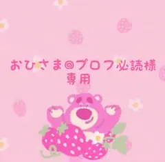 おひさま@プロフ必読様専用です